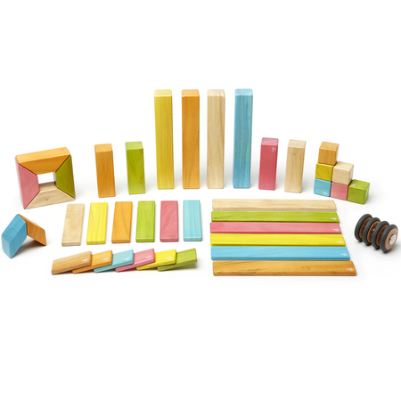TEGU Magnetic Wooden Blocks, 42-Piece Set, Tints 42P-TNT-306T